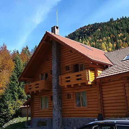 Pensiunea Izbucul Tauz Ghetari Exteriör bild